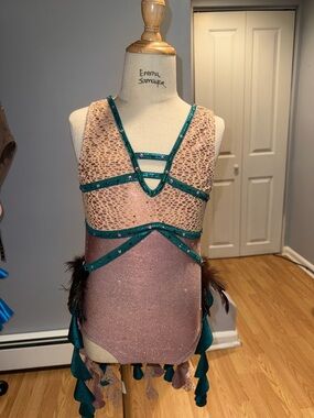 Beautiful Custom Made Dance Costume